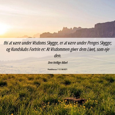 Picture 06 - Prædikeren 7:12 DA1871 - thi at være under Visdoms Skygge, er at være - Bible Verse Picture