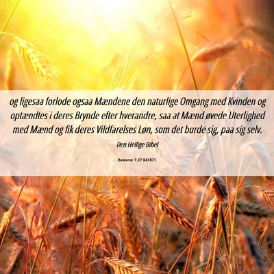 Picture 06 - Romerne 1:27 DA1871 - og ligesaa forlode ogsaa Mændene den naturlige - Bible Verse Picture