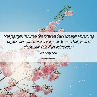Picture 06 - Romerne 10:19 DA1871 - Men jeg siger: Har Israel ikke forstaaet det? - Bible Verse Picture