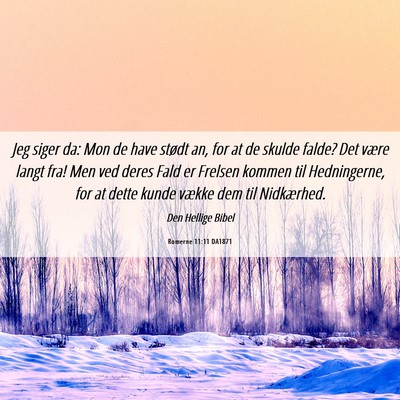 Picture 06 - Romerne 11:11 DA1871 - Jeg siger da: Mon de have stødt an, for at de - Bible Verse Picture