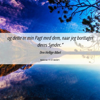 Picture 06 - Romerne 11:27 DA1871 - og dette er min Pagt med dem, naar jeg borttager - Bible Verse Picture