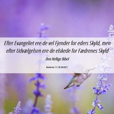Picture 06 - Romerne 11:28 DA1871 - Efter Evangeliet ere de vel Fjender for eders - Bible Verse Picture