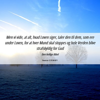 Picture 06 - Romerne 3:19 DA1871 - Men vi vide, at alt, hvad Loven siger, taler den - Bible Verse Picture