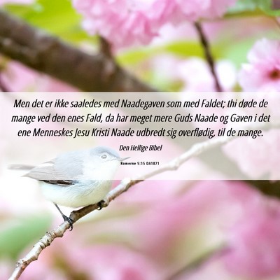 Picture 06 - Romerne 5:15 DA1871 - Men det er ikke saaledes med Naadegaven som med - Bible Verse Picture