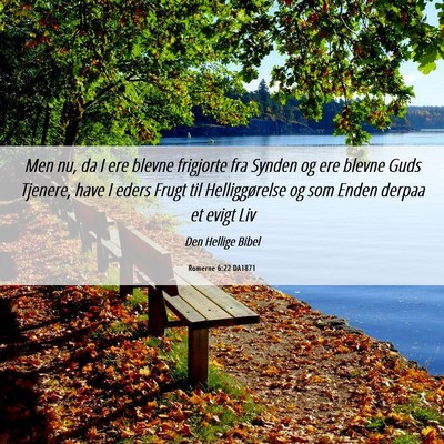 Picture 06 - Romerne 6:22 DA1871 - Men nu, da I ere blevne frigjorte fra Synden og - Bible Verse Picture