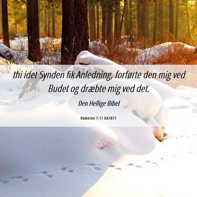 Picture 06 - Romerne 7:11 DA1871 - thi idet Synden fik Anledning, forførte den mig - Bible Verse Picture