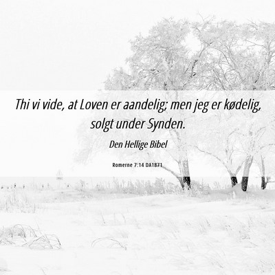 Picture 06 - Romerne 7:14 DA1871 - Thi vi vide, at Loven er aandelig; men jeg er - Bible Verse Picture