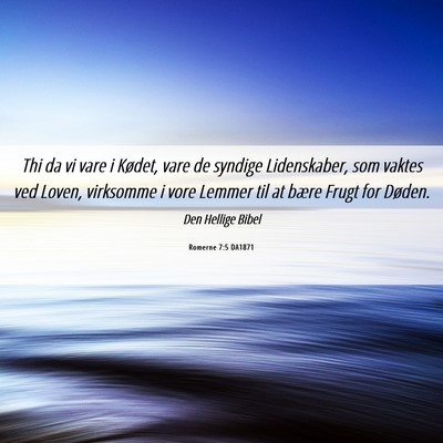 Picture 06 - Romerne 7:5 DA1871 - Thi da vi vare i Kødet, vare de syndige - Bible Verse Picture