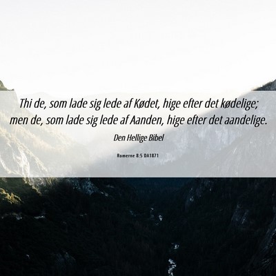Picture 06 - Romerne 8:5 DA1871 - Thi de, som lade sig lede af Kødet, hige efter - Bible Verse Picture