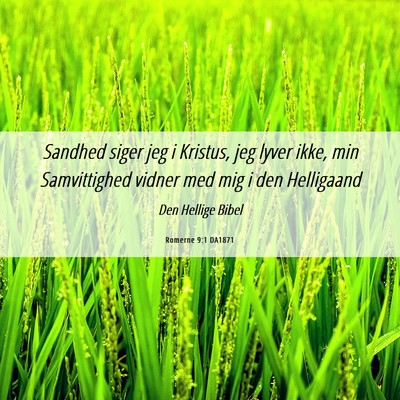 Picture 06 - Romerne 9:1 DA1871 - Sandhed siger jeg i Kristus, jeg lyver ikke, min - Bible Verse Picture