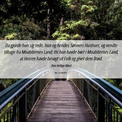Picture 06 - Rut 1:6 DA1871 - Da gjorde hun sig rede, hun og hendes Sønners - Bible Verse Picture