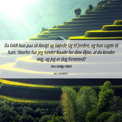 Picture 06 - Rut 2:10 DA1871 - Da faldt hun paa sit Ansigt og bøjede sig til - Bible Verse Picture