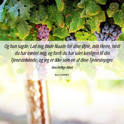 Picture 06 - Rut 2:13 DA1871 - Og hun sagde: Lad mig finde Naade for dine Øjne, - Bible Verse Picture