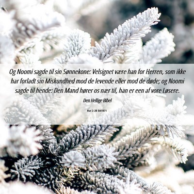 Picture 06 - Rut 2:20 DA1871 - Og Noomi sagde til sin Sønnekone: Velsignet - Bible Verse Picture