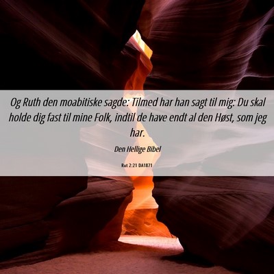 Picture 06 - Rut 2:21 DA1871 - Og Ruth den moabitiske sagde: Tilmed har han sagt - Bible Verse Picture