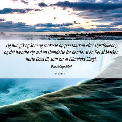Picture 06 - Rut 2:3 DA1871 - Og hun gik og kom og sankede op paa Marken efter - Bible Verse Picture