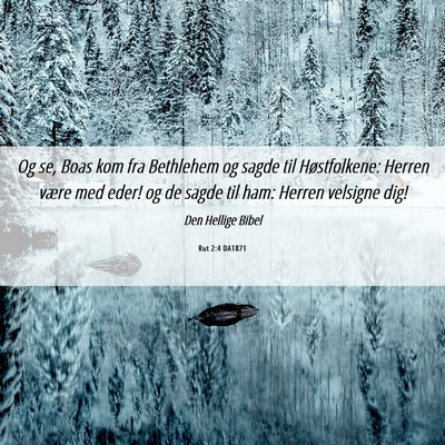 Picture 06 - Rut 2:4 DA1871 - Og se, Boas kom fra Bethlehem og sagde til - Bible Verse Picture