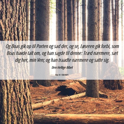 Picture 06 - Rut 4:1 DA1871 - Og Boas gik op til Porten og sad der, og se, - Bible Verse Picture