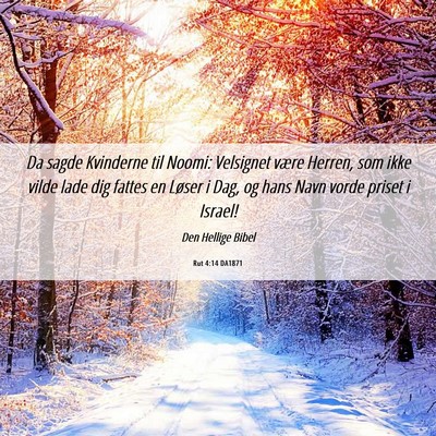 Picture 06 - Rut 4:14 DA1871 - Da sagde Kvinderne til Noomi: Velsignet være - Bible Verse Picture
