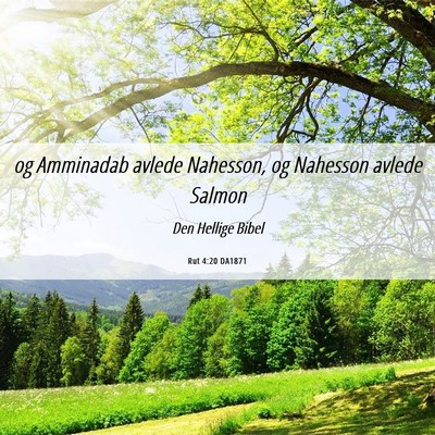 Picture 06 - Rut 4:20 DA1871 - og Amminadab avlede Nahesson, og Nahesson avlede - Bible Verse Picture
