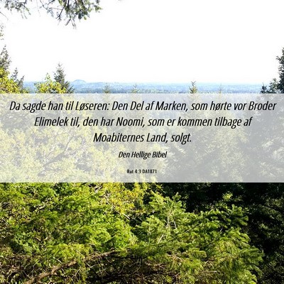 Picture 06 - Rut 4:3 DA1871 - Da sagde han til Løseren: Den Del af Marken, som - Bible Verse Picture