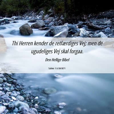 Picture 06 - Salme 1:6 DA1871 - Thi Herren kender de retfærdiges Vej; men de - Bible Verse Picture