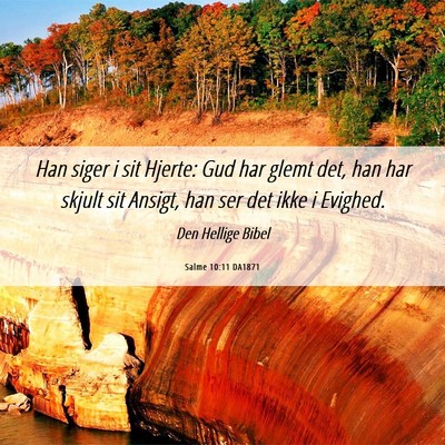 Picture 06 - Salme 10:11 DA1871 - Han siger i sit Hjerte: Gud har glemt det, han - Bible Verse Picture