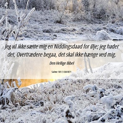 Picture 06 - Salme 101:3 DA1871 - Jeg vil ikke sætte mig en Niddingsdaad for Øje; - Bible Verse Picture