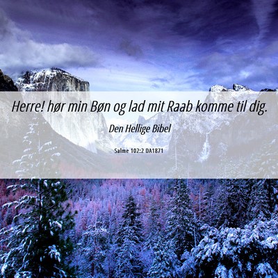 Picture 06 - Salme 102:2 DA1871 - Herre! hør min Bøn og lad mit Raab komme til - Bible Verse Picture