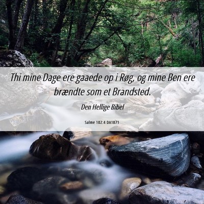 Picture 06 - Salme 102:4 DA1871 - Thi mine Dage ere gaaede op i Røg, og mine Ben - Bible Verse Picture