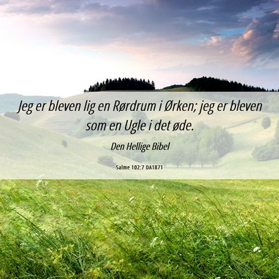Picture 06 - Salme 102:7 DA1871 - Jeg er bleven lig en Rørdrum i Ørken; jeg er - Bible Verse Picture