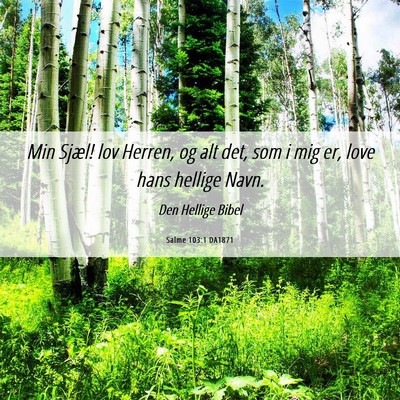 Picture 06 - Salme 103:1 DA1871 - Min Sjæl! lov Herren, og alt det, som i mig er, - Bible Verse Picture