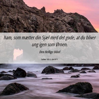 Picture 06 - Salme 103:5 DA1871 - ham, som mætter din Sjæl med det gode, at du - Bible Verse Picture