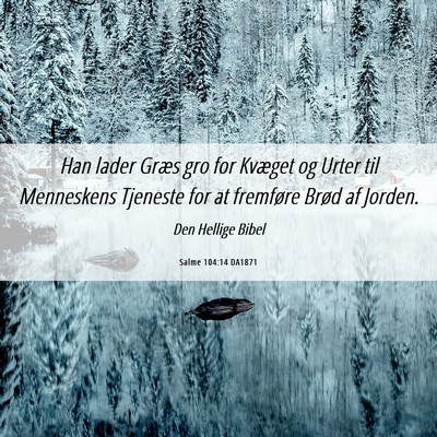 Picture 06 - Salme 104:14 DA1871 - Han lader Græs gro for Kvæget og Urter til - Bible Verse Picture