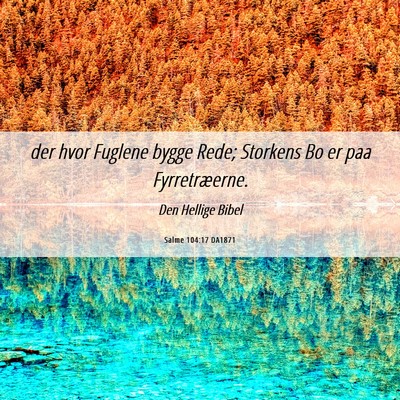 Picture 06 - Salme 104:17 DA1871 - der hvor Fuglene bygge Rede; Storkens Bo er paa - Bible Verse Picture