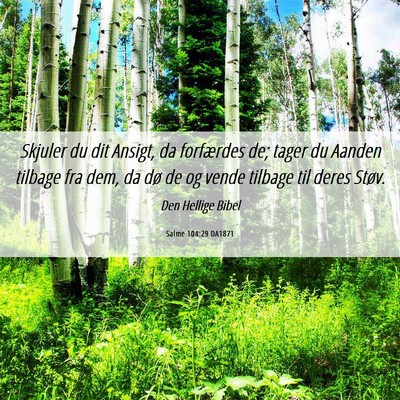Picture 06 - Salme 104:29 DA1871 - Skjuler du dit Ansigt, da forfærdes de; tager du - Bible Verse Picture