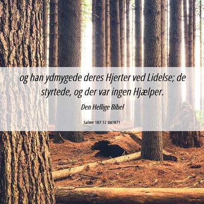 Picture 06 - Salme 107:12 DA1871 - og han ydmygede deres Hjerter ved Lidelse; de - Bible Verse Picture