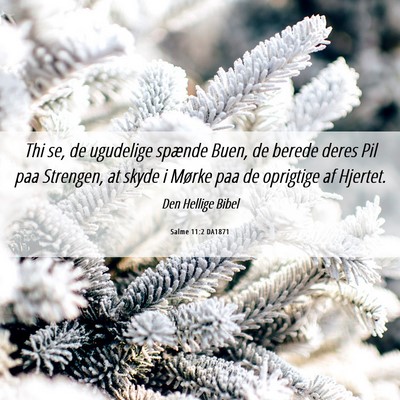 Picture 06 - Salme 11:2 DA1871 - Thi se, de ugudelige spænde Buen, de berede - Bible Verse Picture