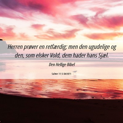 Picture 06 - Salme 11:5 DA1871 - Herren prøver en retfærdig; men den ugudelige - Bible Verse Picture
