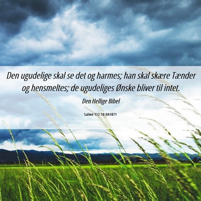 Picture 06 - Salme 112:10 DA1871 - Den ugudelige skal se det og harmes; han skal - Bible Verse Picture