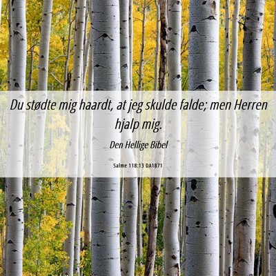 Picture 06 - Salme 118:13 DA1871 - Du stødte mig haardt, at jeg skulde falde; men - Bible Verse Picture