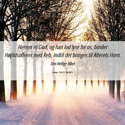 Picture 06 - Salme 118:27 DA1871 - Herren er Gud, og han lod lyse for os; binder - Bible Verse Picture