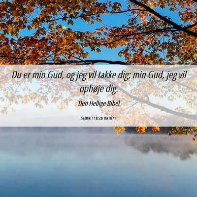 Picture 06 - Salme 118:28 DA1871 - Du er min Gud, og jeg vil takke dig; min Gud, jeg - Bible Verse Picture