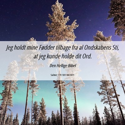 Picture 06 - Salme 119:101 DA1871 - Jeg holdt mine Fødder tilbage fra al Ondskabens - Bible Verse Picture