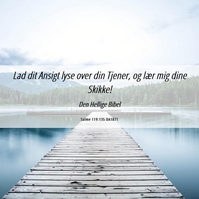 Picture 06 - Salme 119:135 DA1871 - Lad dit Ansigt lyse over din Tjener, og lær mig - Bible Verse Picture