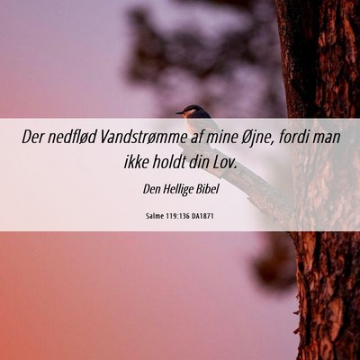 Picture 06 - Salme 119:136 DA1871 - Der nedflød Vandstrømme af mine Øjne, fordi - Bible Verse Picture