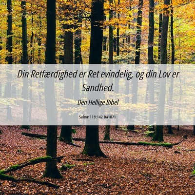 Picture 06 - Salme 119:142 DA1871 - Din Retfærdighed er Ret evindelig, og din Lov er - Bible Verse Picture