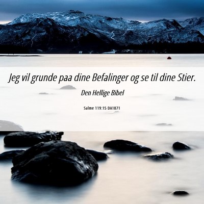 Picture 06 - Salme 119:15 DA1871 - Jeg vil grunde paa dine Befalinger og se til dine - Bible Verse Picture