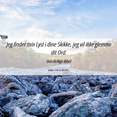 Picture 06 - Salme 119:16 DA1871 - Jeg finder min Lyst i dine Skikke, jeg vil ikke - Bible Verse Picture
