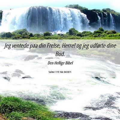 Picture 06 - Salme 119:166 DA1871 - Jeg ventede paa din Frelse, Herre! og jeg - Bible Verse Picture